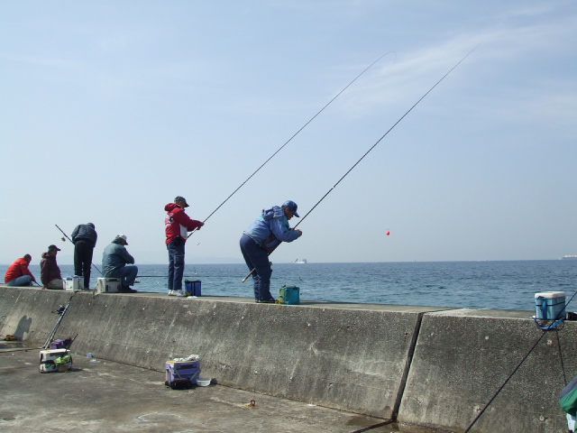 伊良湖 岬 釣り